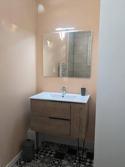Appartment - Vue Imprenable Sur La Cite Medievale - Parking Gratuit - Climatise Carcassonne Eksteriør billede