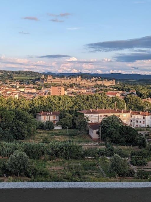 Appartment - Vue Imprenable Sur La Cite Medievale - Parking Gratuit - Climatise Carcassonne Eksteriør billede